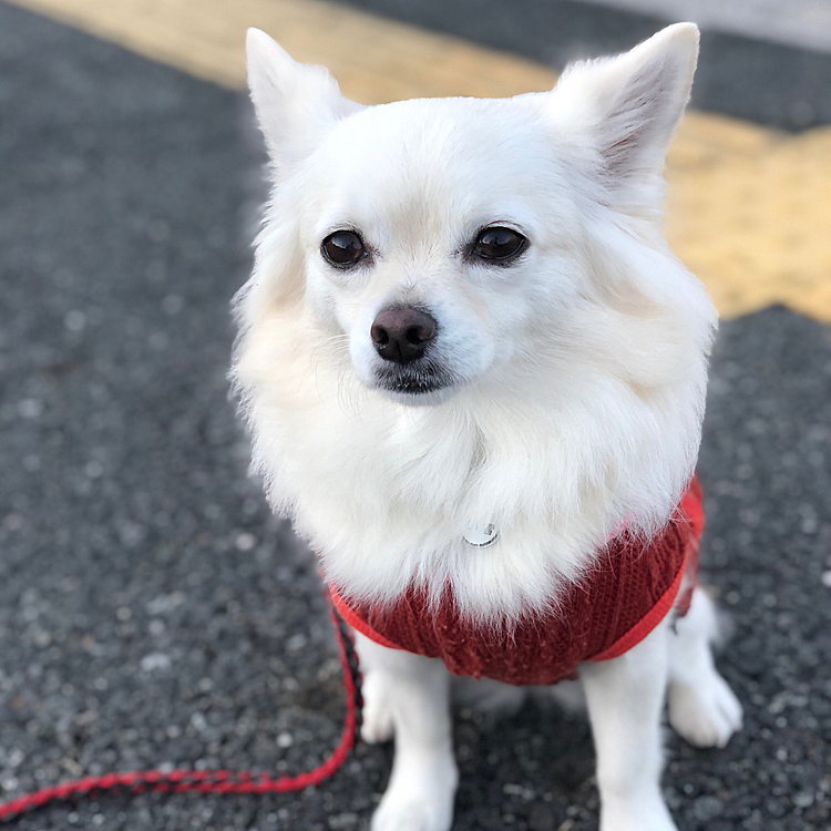 おはようございます☀