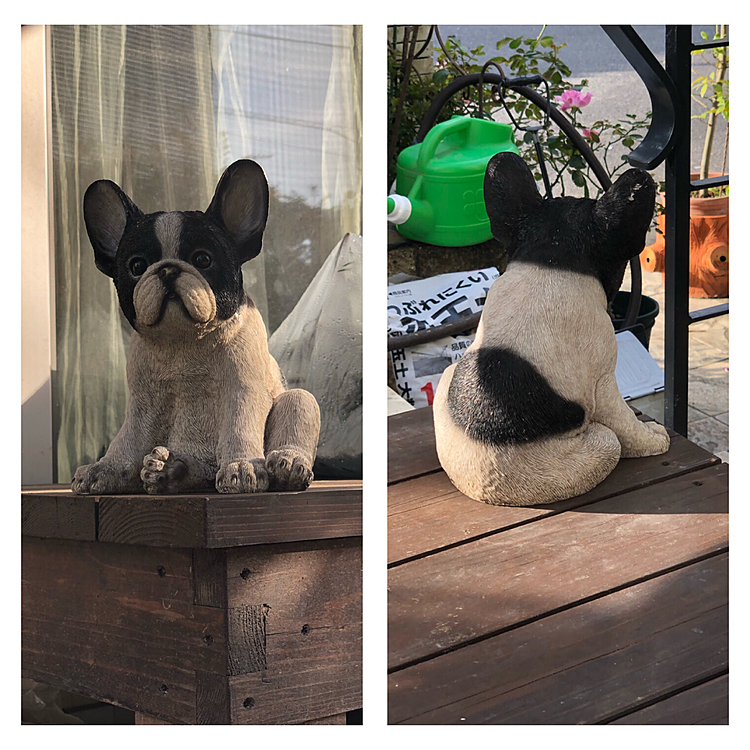 ベビまろも加わりました😁