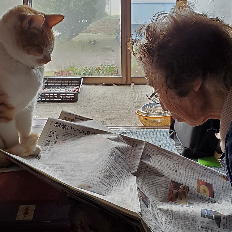 最年少🐈(♀️6歳)と最年長👵(♀️きょう誕生日91歳)
朝のまったり(この光景好き…)