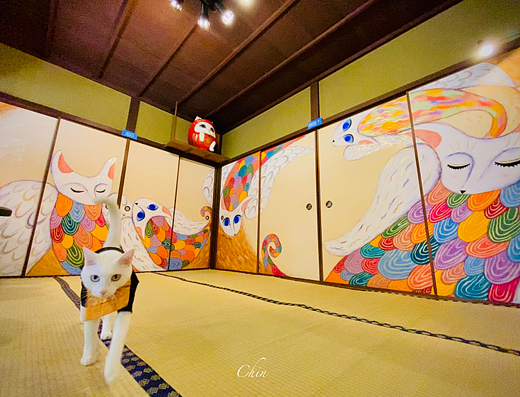 京都八瀬にある猫猫寺。
、
綺麗な猫の絵の前で🖼
