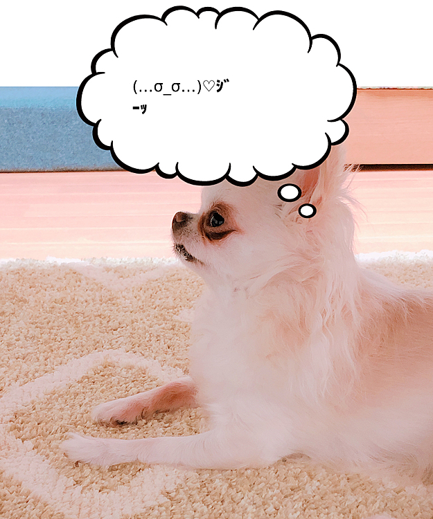 何を見てるんだ(￣▽￣;)
怖っ😱💦