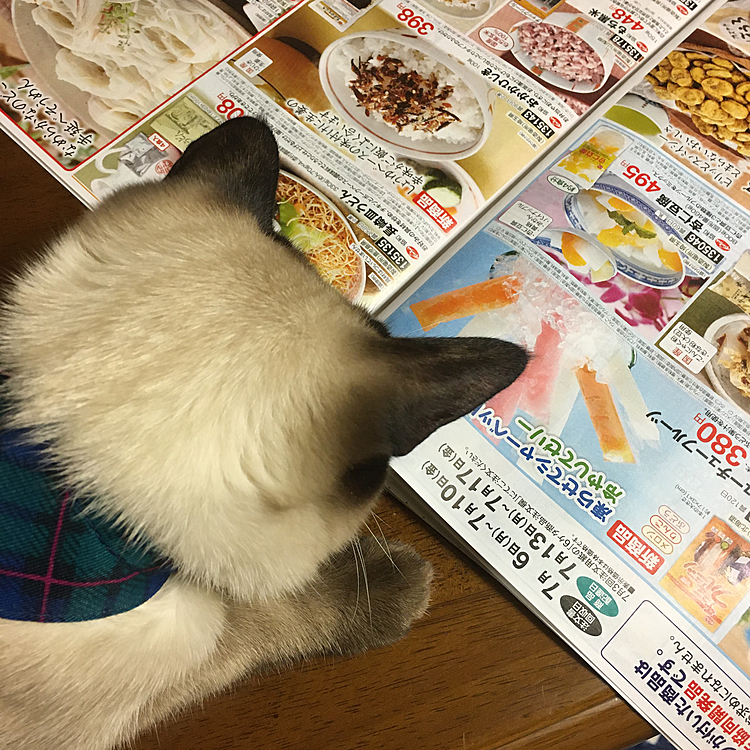 この後頭部が たまらん🥰💕➰❤️