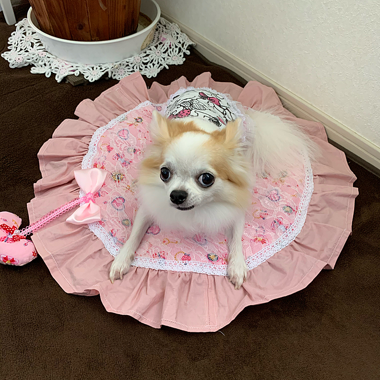 ノンです！初めまして
クンカブル出身です
宜しくね💕