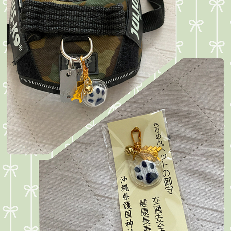 2020.10.28
息子のお友達が櫂に、とお土産を買ってきてくれました😄
さっそくそのお守りを付けてお散歩しました✨
