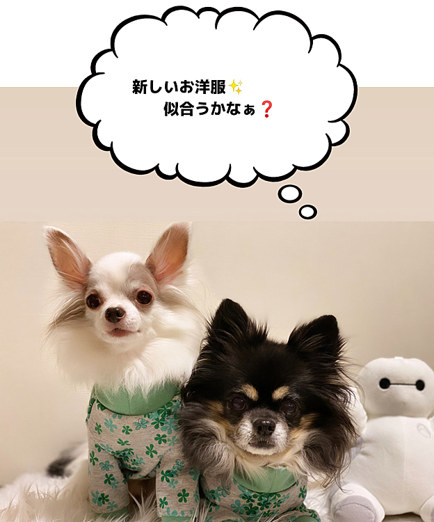 お友達に作ってもらいました❣️
プロの方が作る🐶洋服はスゴイな🤩👏🏻