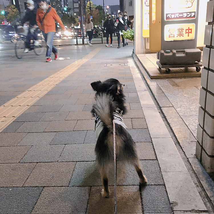 
都会の男感🤣笑

