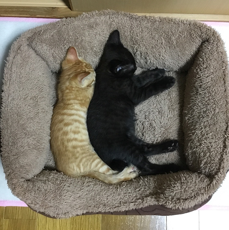 2年前は、こんなに仲良しだったのにな〜
☝︎( ˇωˇ )☝︎