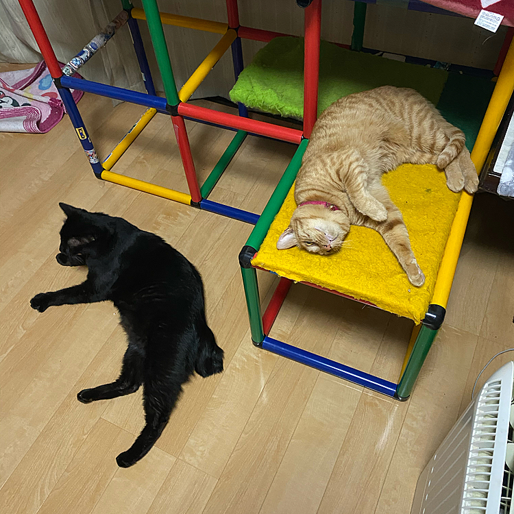 今では、こんな感じです（；^ω^）