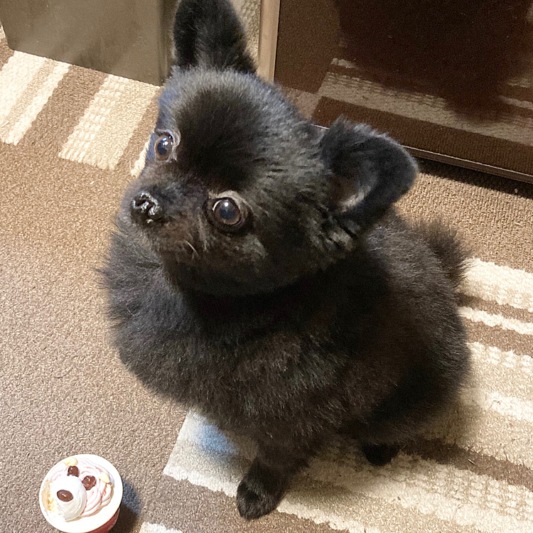 帰りに幕張イオンに寄って遅ればせながらのお誕生日ケーキ(ダイエットのため小さめ🎂)
半分食べて残りは今日に🎂