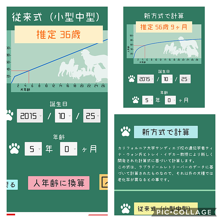 犬年齢計算機ってアプリがあったのでやってみたら人年齢推定36歳、新方式だと56歳9ヶ月( ´•௰•`)