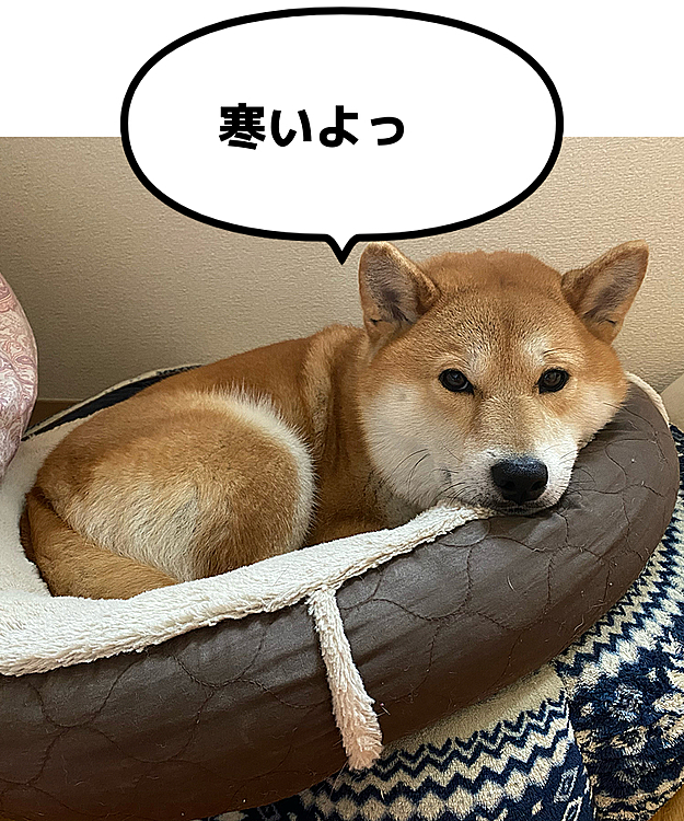 Kai-mamの投稿