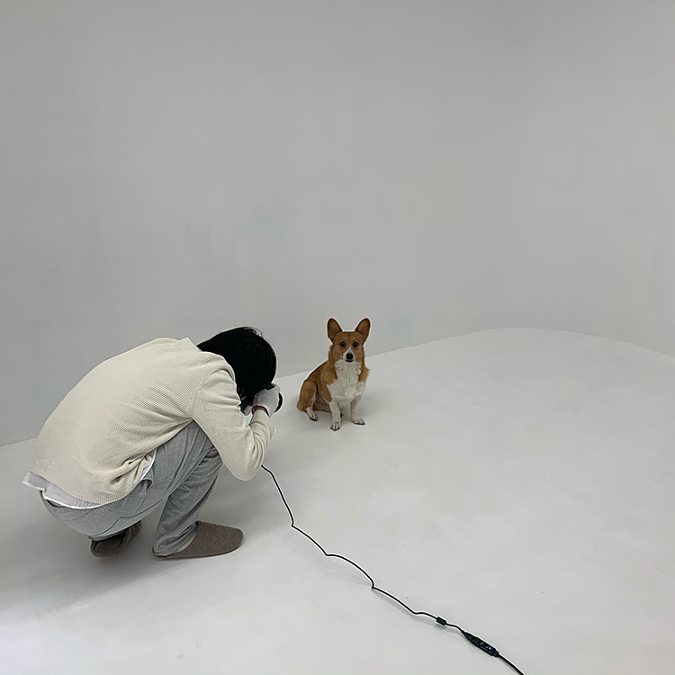 こんな感じで真っ白なスタジオで自然の光で撮影してもらいました😁
5分間いろんな写真を撮ってもらい、気に入った写真を買うシステムです📸