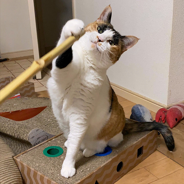 ナイスタッチ