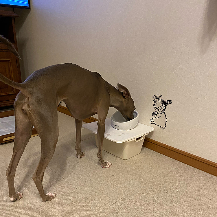 たくさん遊んでお水を飲んで…