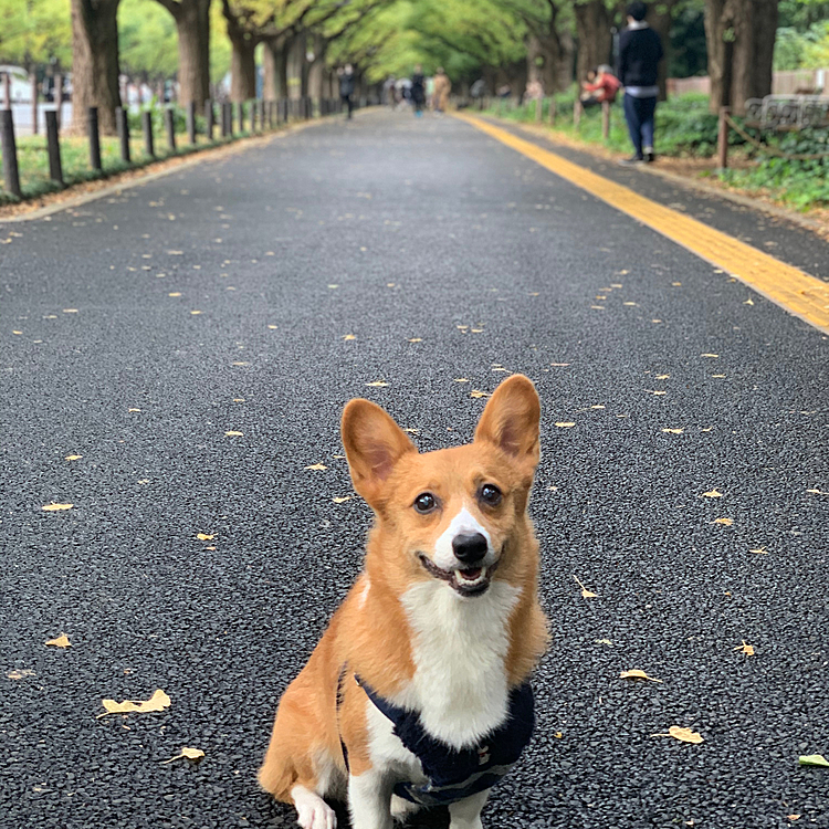 まぁでも人も少なくて写真もゆっくり撮れました😁駐車場も無料だったし✌️