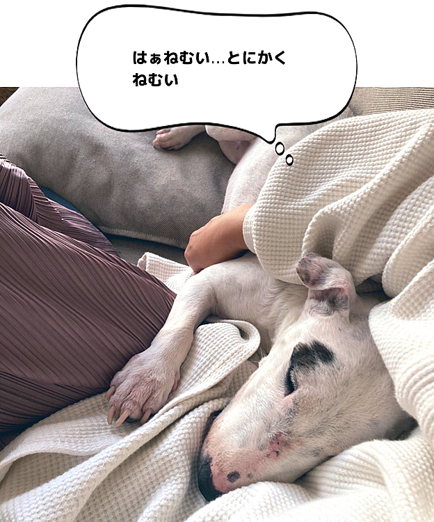 今日は祝日だから、一緒に鬼滅の刃観たんだよね