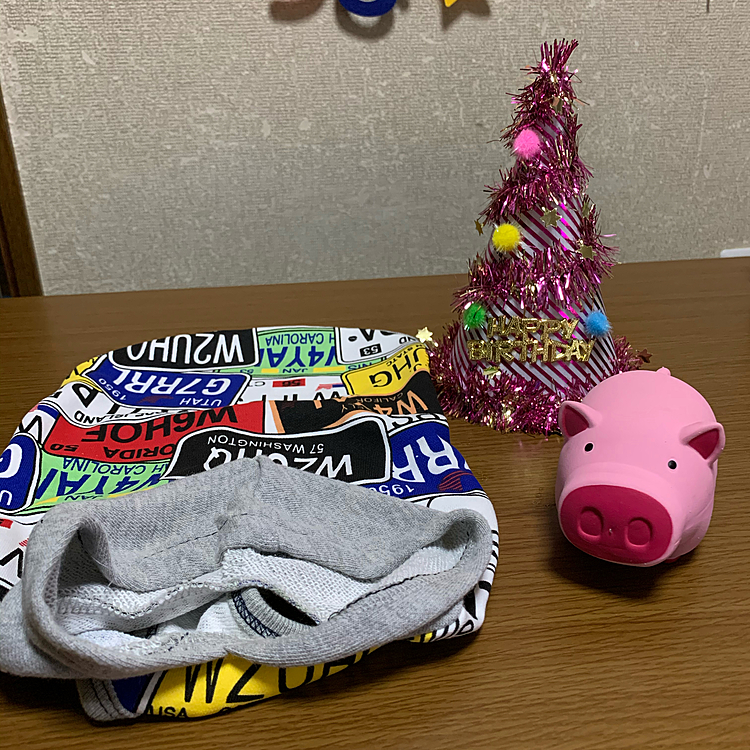 誕プレ〜🎁
ちなみにブタさんは、サンが選びました〜🐽