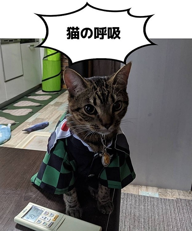 Baysの投稿