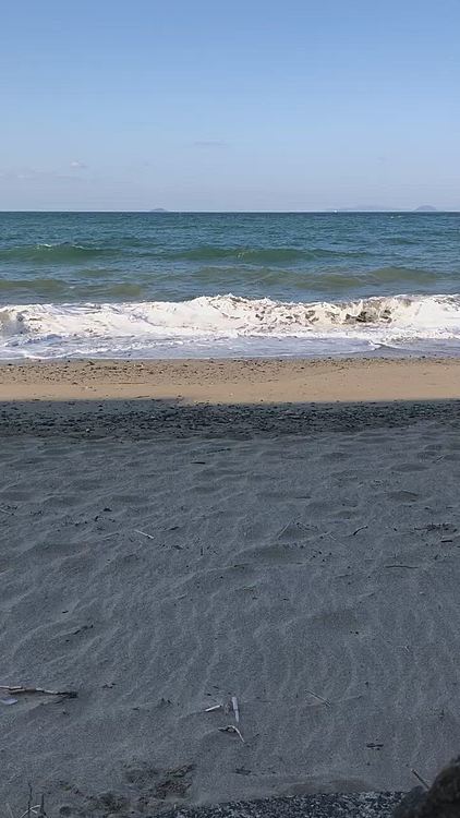 枝が細かったからかなー?
と太い枝に替えたら、見失うことはなかったけれど、取ってきませんでした😅
今日も元気です😆