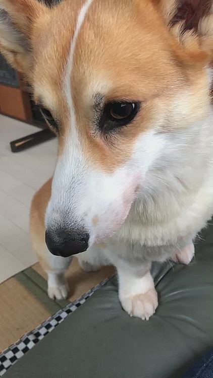 オヤツオヤツ〜❤️
真剣っ🤣🤣🤣🤣笑笑