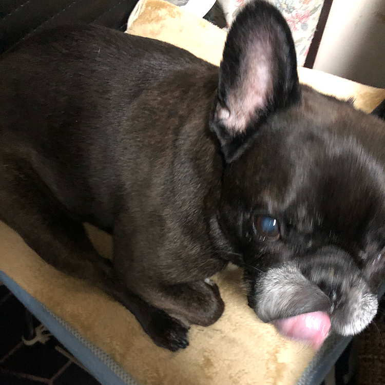 前屈できたんだねー‼️
ぺろって〝どや？〟ってこと🤣❓