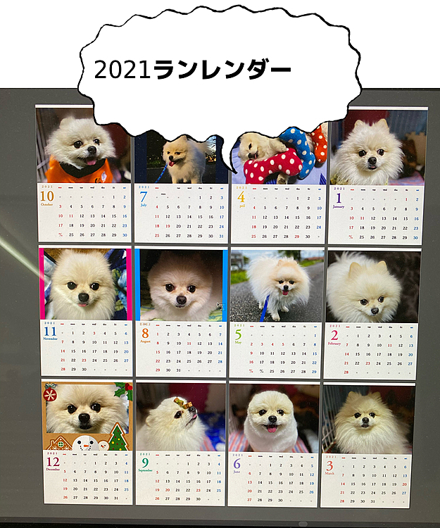 https://消えました。多分⸜(* ॑꒳ ॑*  )⸝
15時45分から24時間