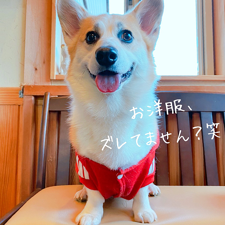 ママに写真撮ってもらったけどどう⁉️