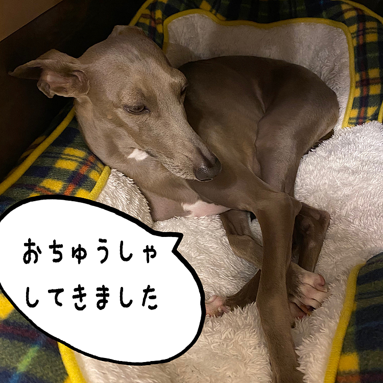 Teety-wooの投稿