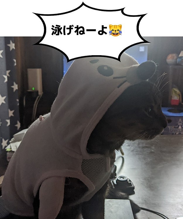 アザラシじゃねーし🤯