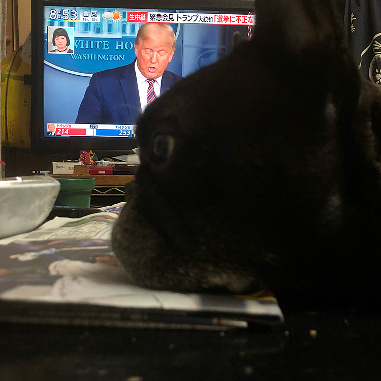 やしちとトランプのツーショット。
ではなく、テーブル上をガサ入れ中。
