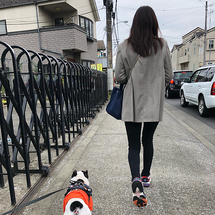 今朝のお散歩は駅に向かう娘と一緒に家を出ました😀
