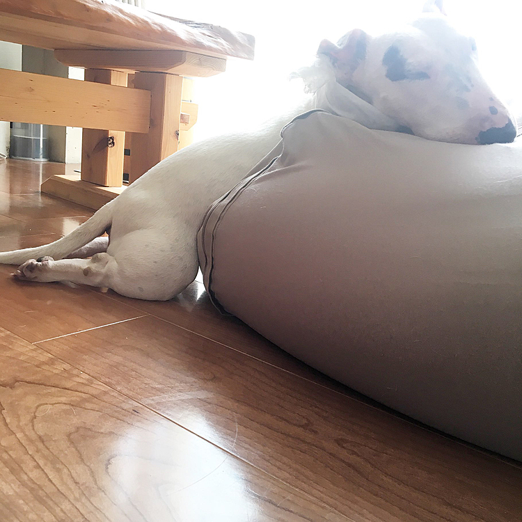 おはよー…😪
