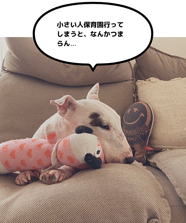 娘が保育園に行くと、静かさが訪れます。嵐が戻るまでゆっくりしてくだされ。