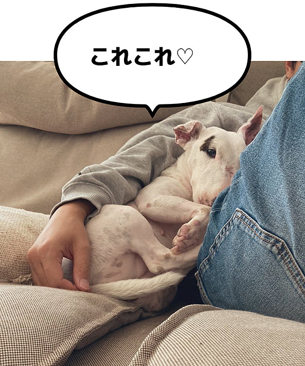 ご満悦
