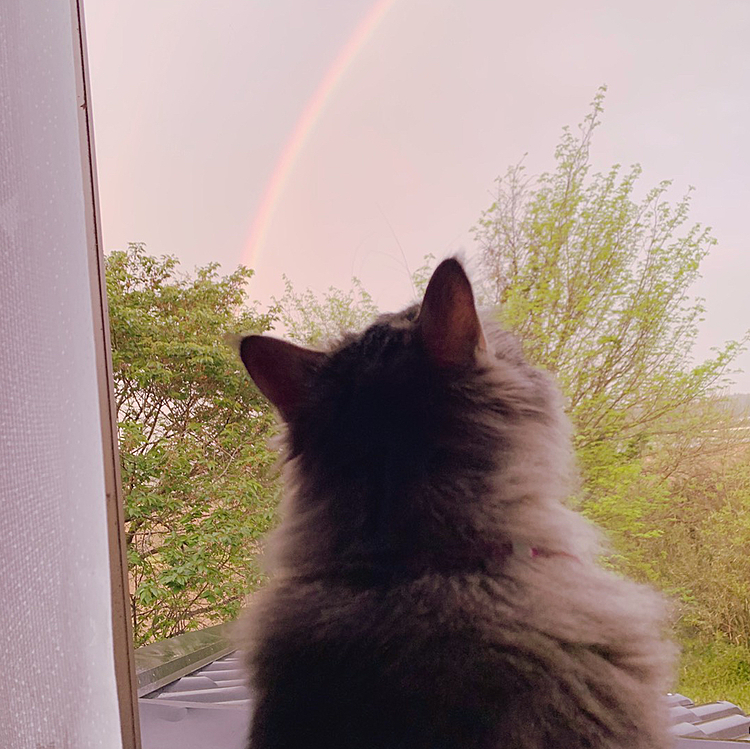 見惚れちゃうね…(=^ェ^=)