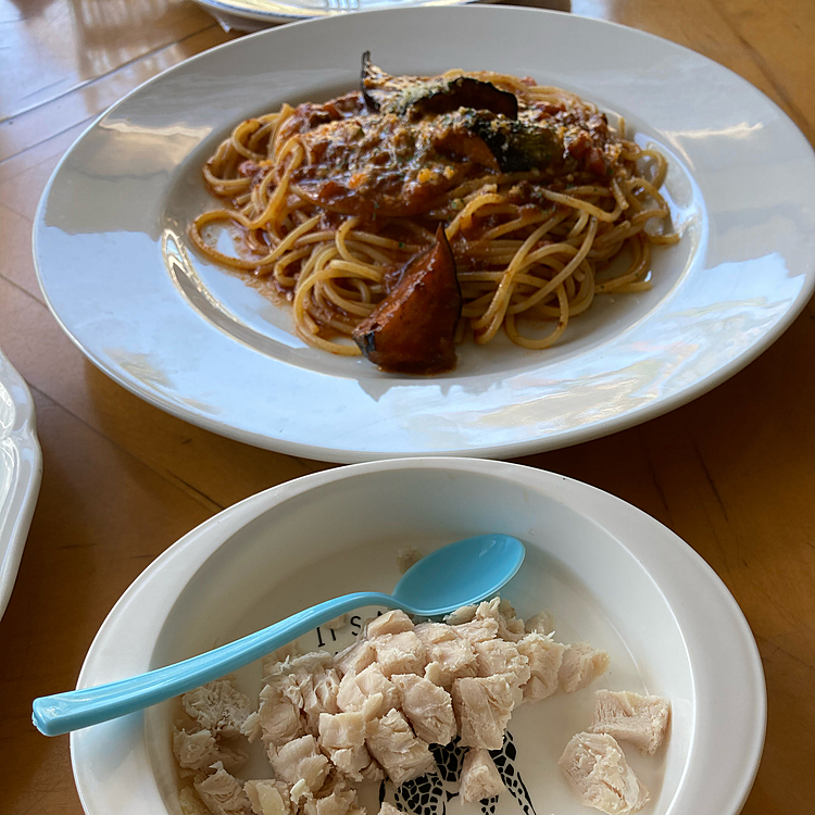 初めてのワンコOKのレストランでランチタイム🍽
下のがワンコ用ササミ🐔