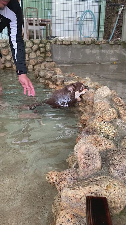 気持ちよかったかな？😊