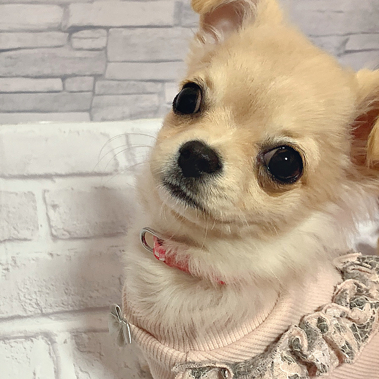 カメラ目線📸♡♡♡♡♡