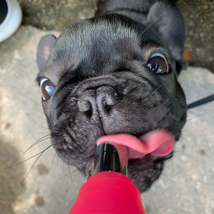 カミ • 까미の投稿