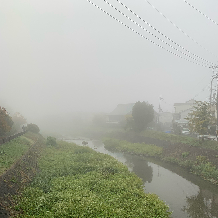2020/11/8
今朝は濃霧がすごくて周りがあまり見えませんでした😅
年に一回程度、こんな感じになります😃