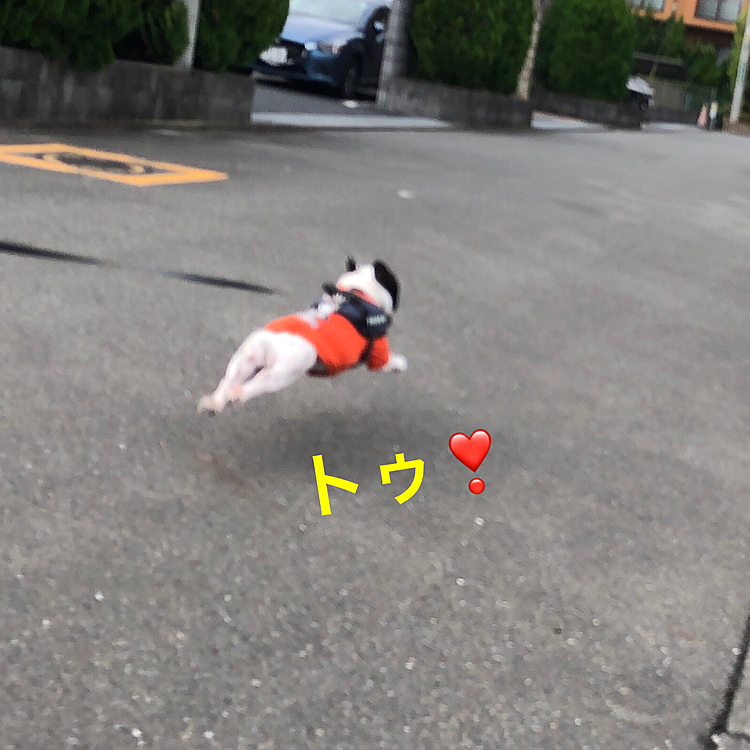 お待たせしました。トゥ❣️
