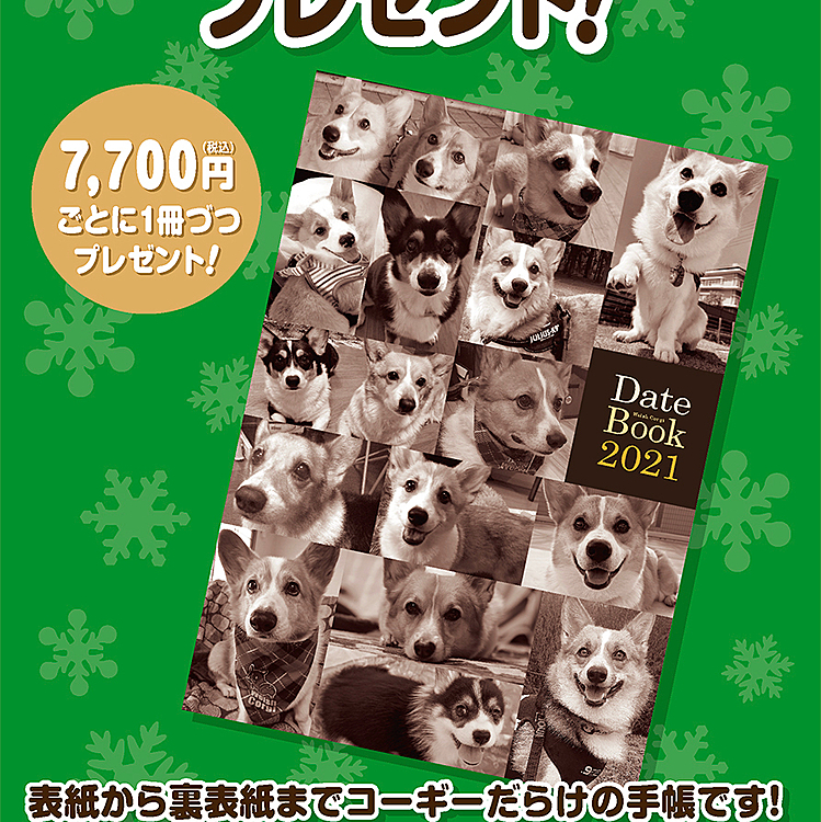 ママがはしゃいで帰って来てコーギーストアのスケジュール帳にえいとが載ったよ〜
それも表紙の目立つ所に⁽⁽٩(๑˃̶͈̀ ᗨ ˂̶͈́)۶⁾⁾

