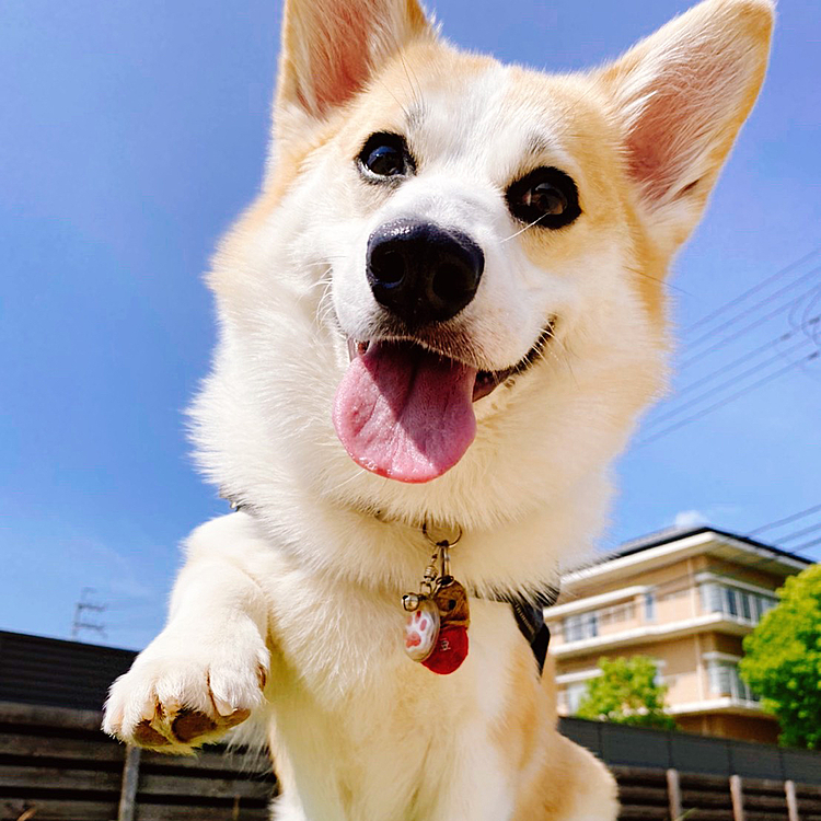 いっぱい撮った中からママが厳選して選んでくれたんだよ〜❣️