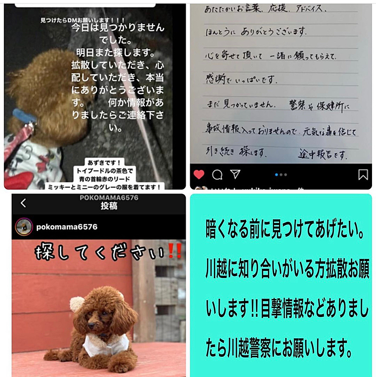 拡散お願いします‼️
インスタからの拡散のお願いです🙇‍♀️
川越のトイプードルのあずきちゃんが迷子になっています💧
付近にお住まいの方、見かけましたら川越警察まで連絡お願いします‼️
我が子だと思うと心配で心配です💧

可愛いペット自慢のお部屋での、拡散希望投稿ごめんなさい🙇‍♀️

あずきちゃん早く見つかりますように🙏
