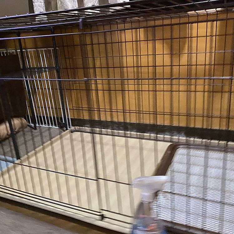 買い物はボクの部屋の増築の物を買ってたんだね〜