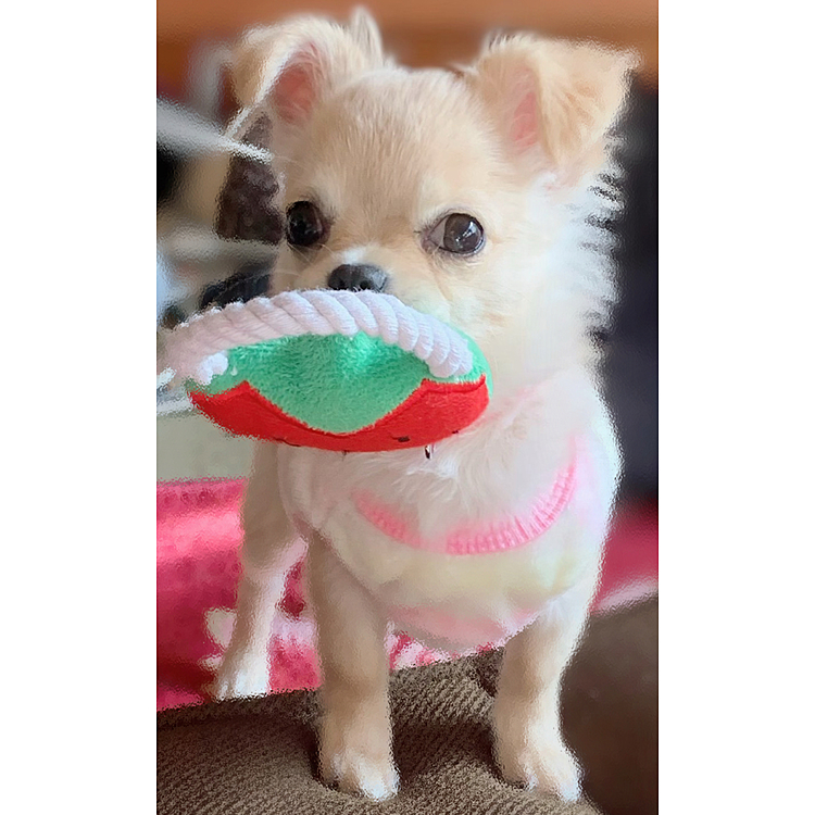 鬼滅の姫子さん(笑)🍓ちゃん♡