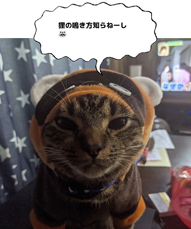 Baysの投稿
