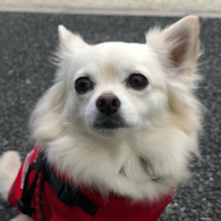 おはようございます☁️
今朝は、寒さがぜんぜんマシです👍