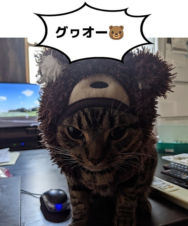Baysの投稿