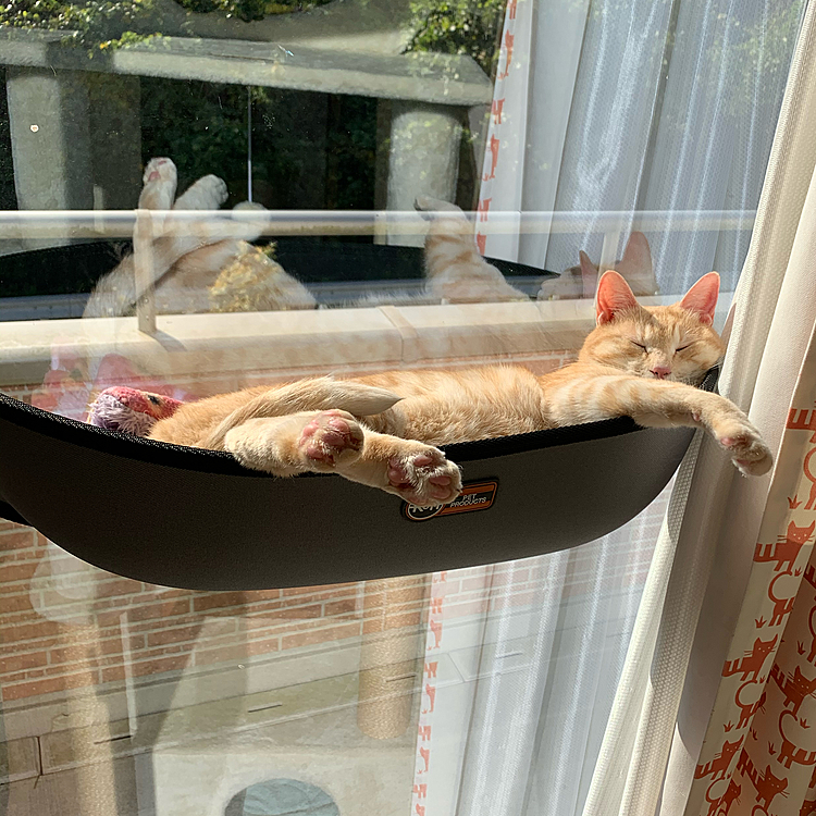 すやすや〜💤
